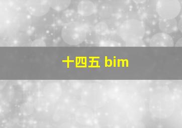 十四五 bim